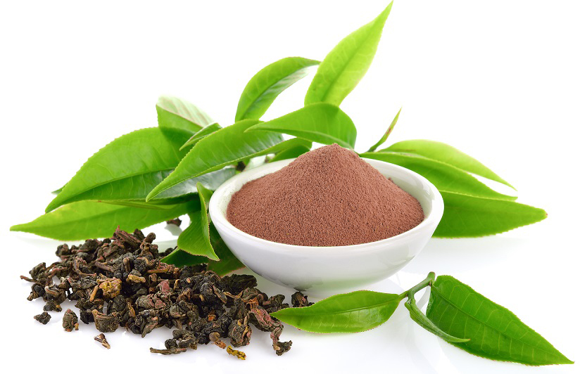 Green Tea Extract 50% EGCG